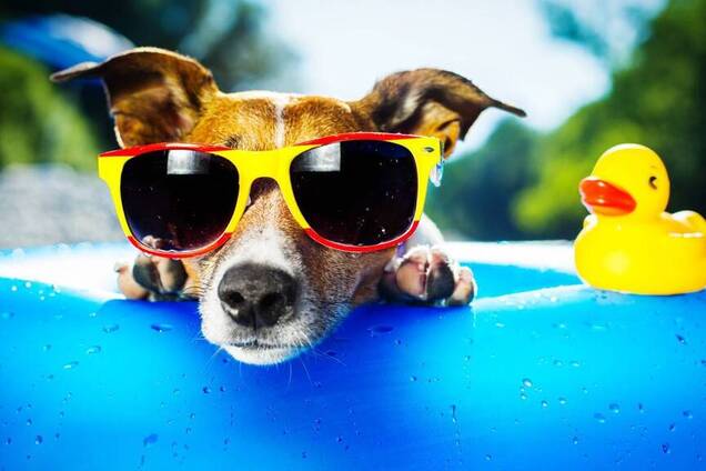 Спека повертається: синоптик уточнила прогноз погоди в Україні