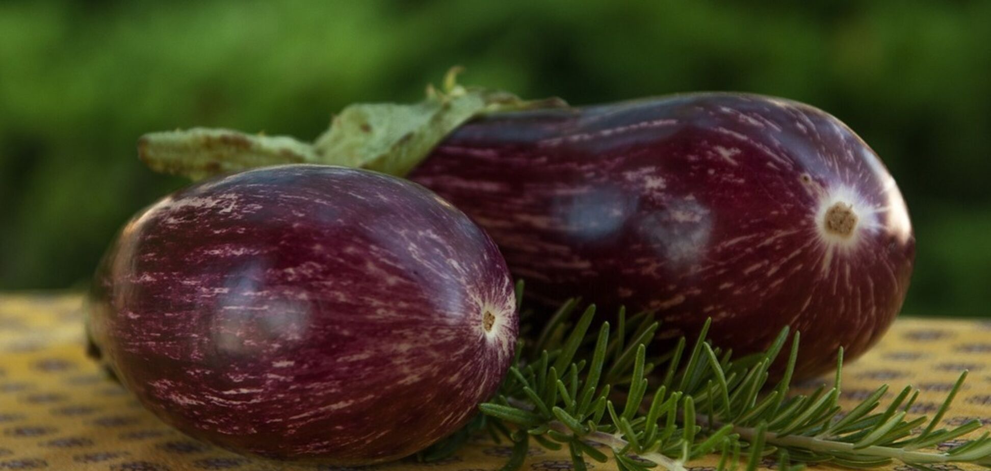Рецепт дивовижного смачного салату зі смаженими баклажанами