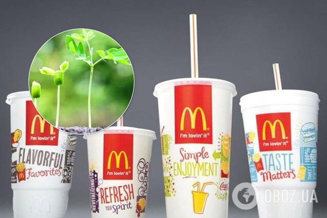McDonald's запровадили нововведення заради порятунку Землі, воно не допомогло і розлютило відвідувачів