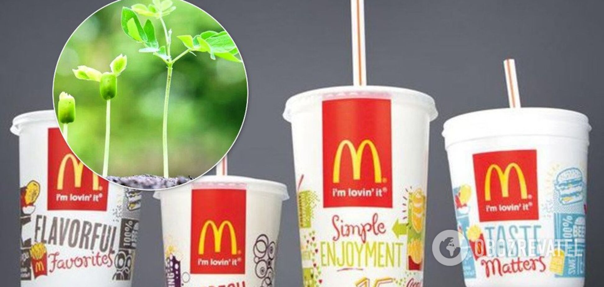 McDonald's ввели новшество ради спасения Земли: оно не помогло и разозлило посетителей