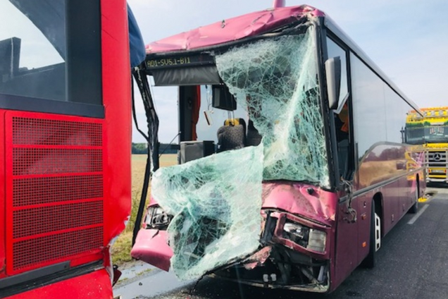 В Польше столкнулись два автобуса с пассажирами: десятки раненых. Фото ДТП