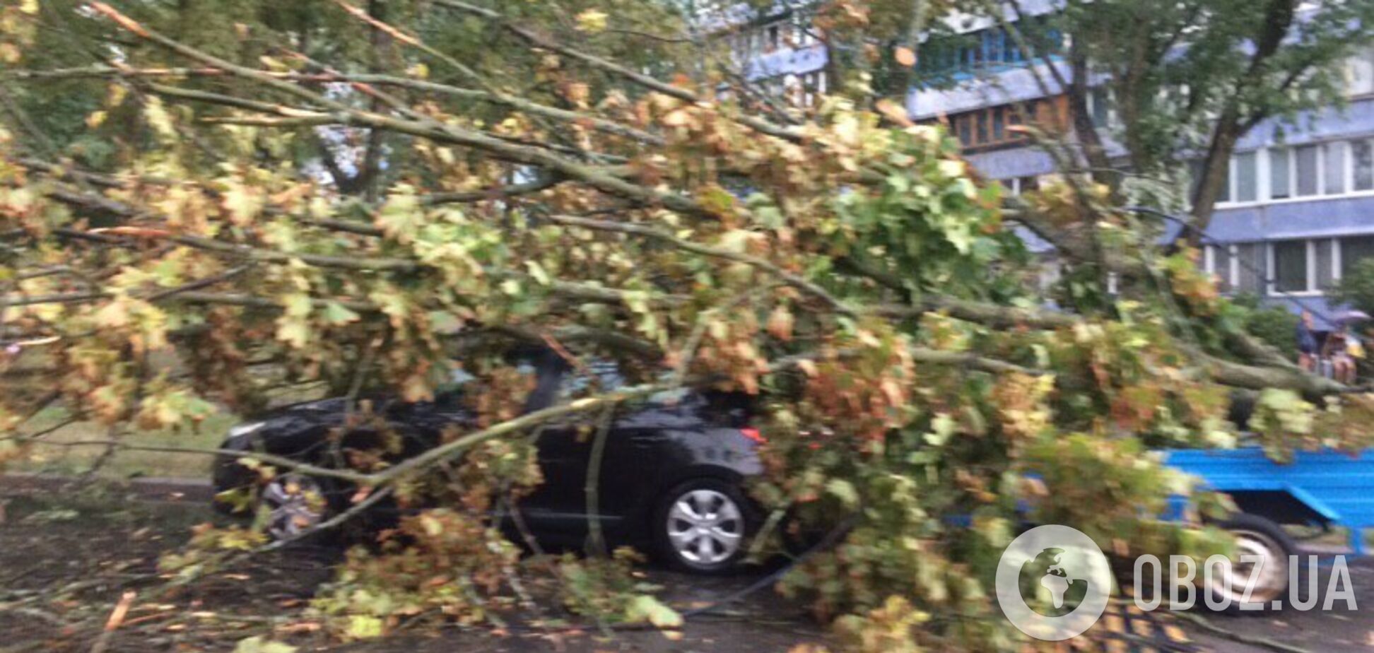 Дерева вирвало з коренем: фото наслідків урагану в Києві