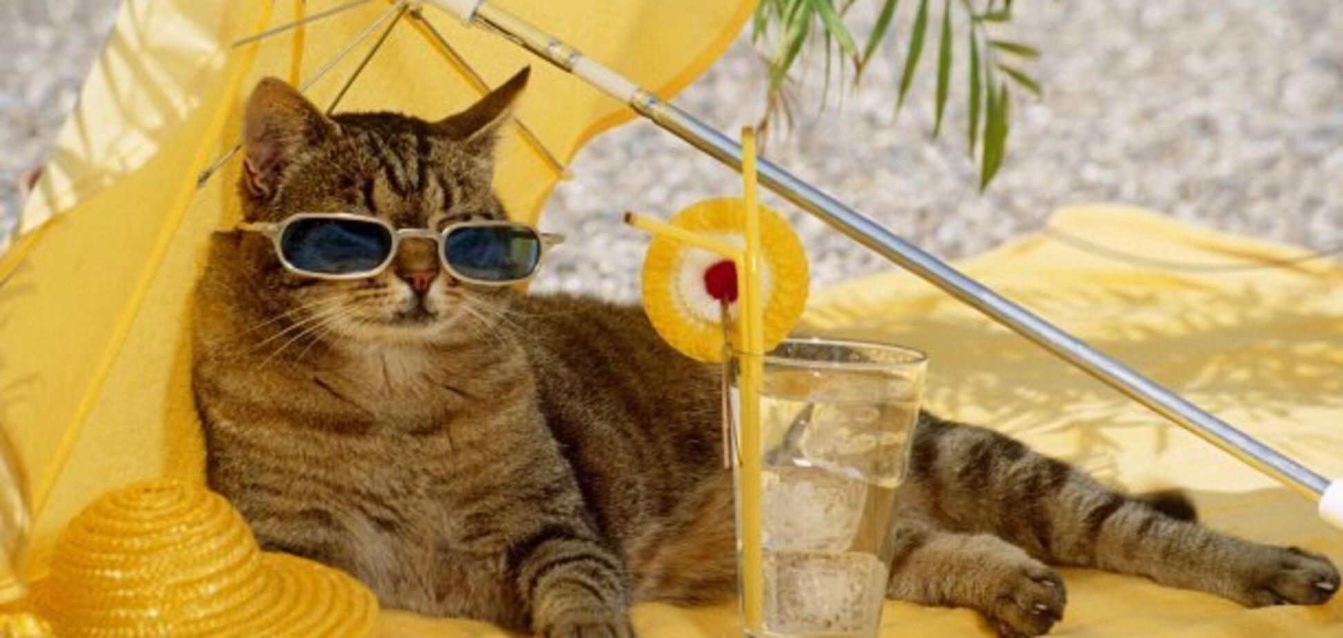 Погода в Украине