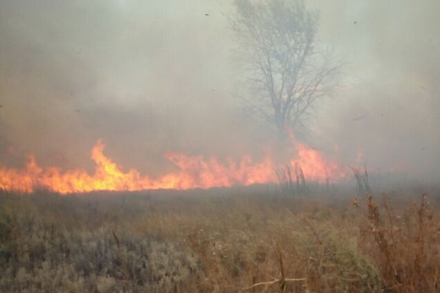 Пожар под Харьковом