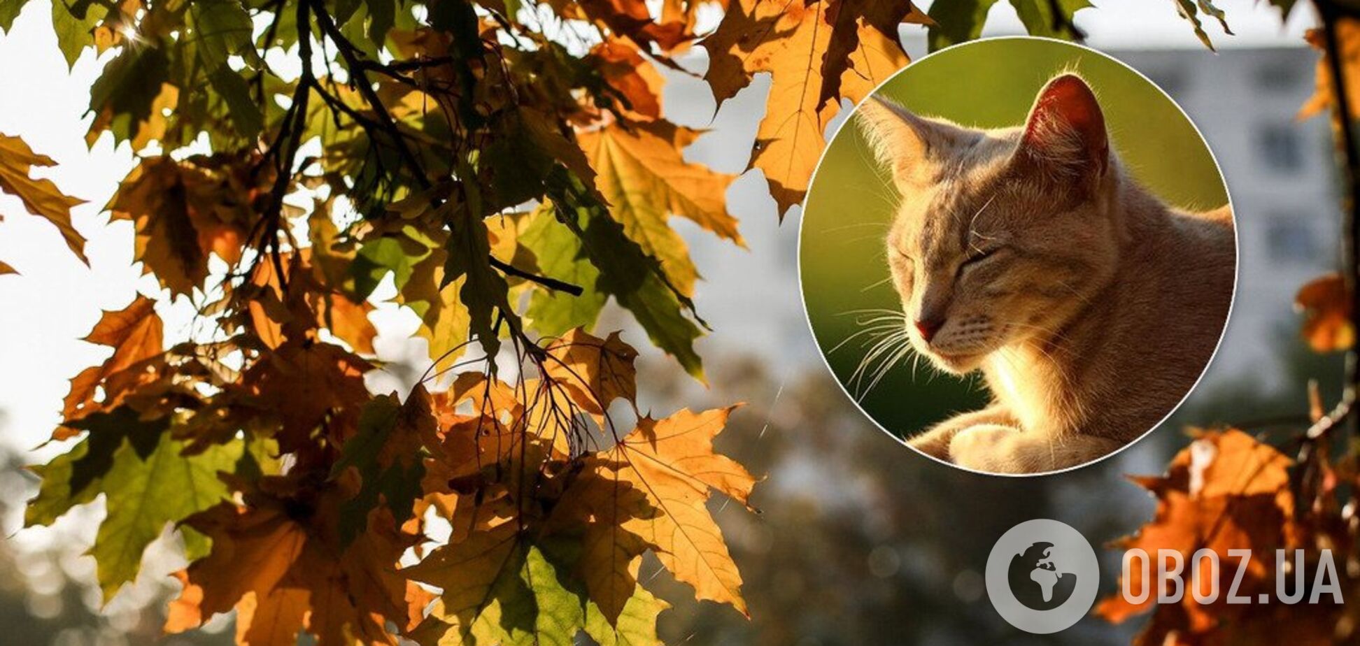 З'явився прогноз погоди на тиждень у Києві