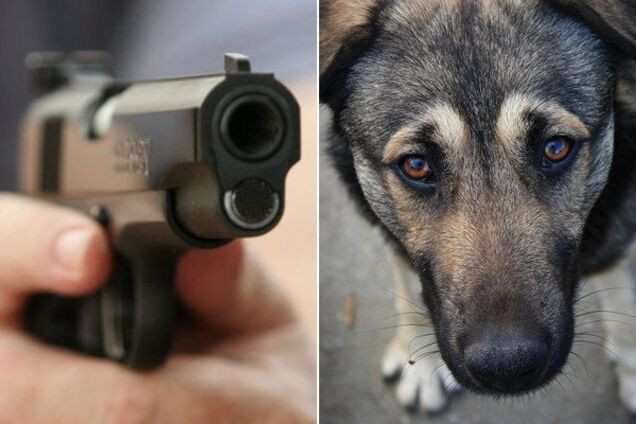 Потрапив в голову і груди: під Дніпром сусіди влаштували криваву стрілянину