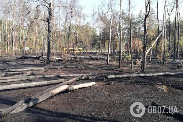 Результат пожара возле метро в Киеве