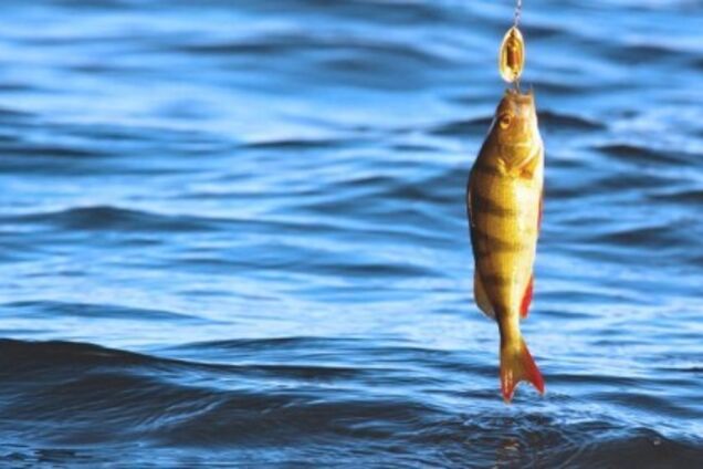 'Перезагрузка' министерств: остается верить в процветание нашей страны