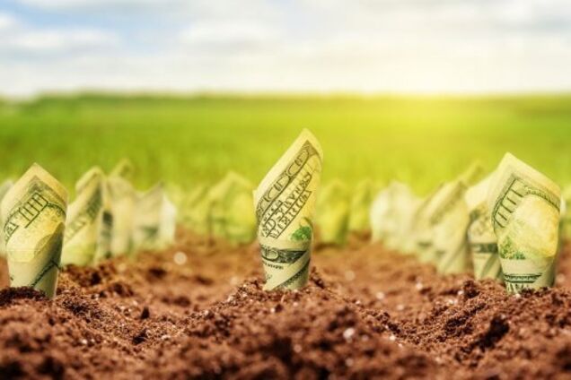 Велика приватизація: що Україна продасть разом із землею?