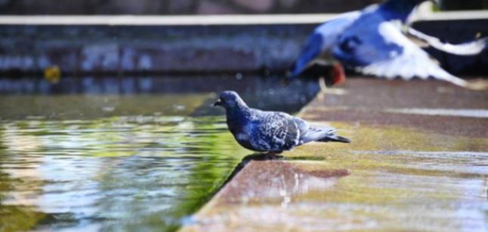 Синоптик сообщила, когда в Украине похолодает