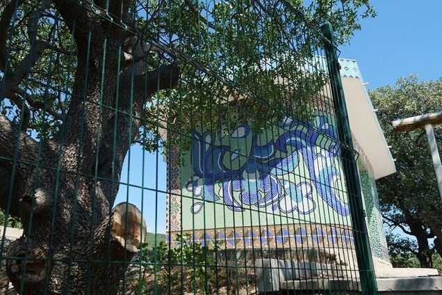 'Им нужны клетки!' В сети опубликовали показательное фото из украденного Крыма