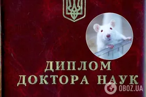 Диссертация на крысах или как деньги решают все!