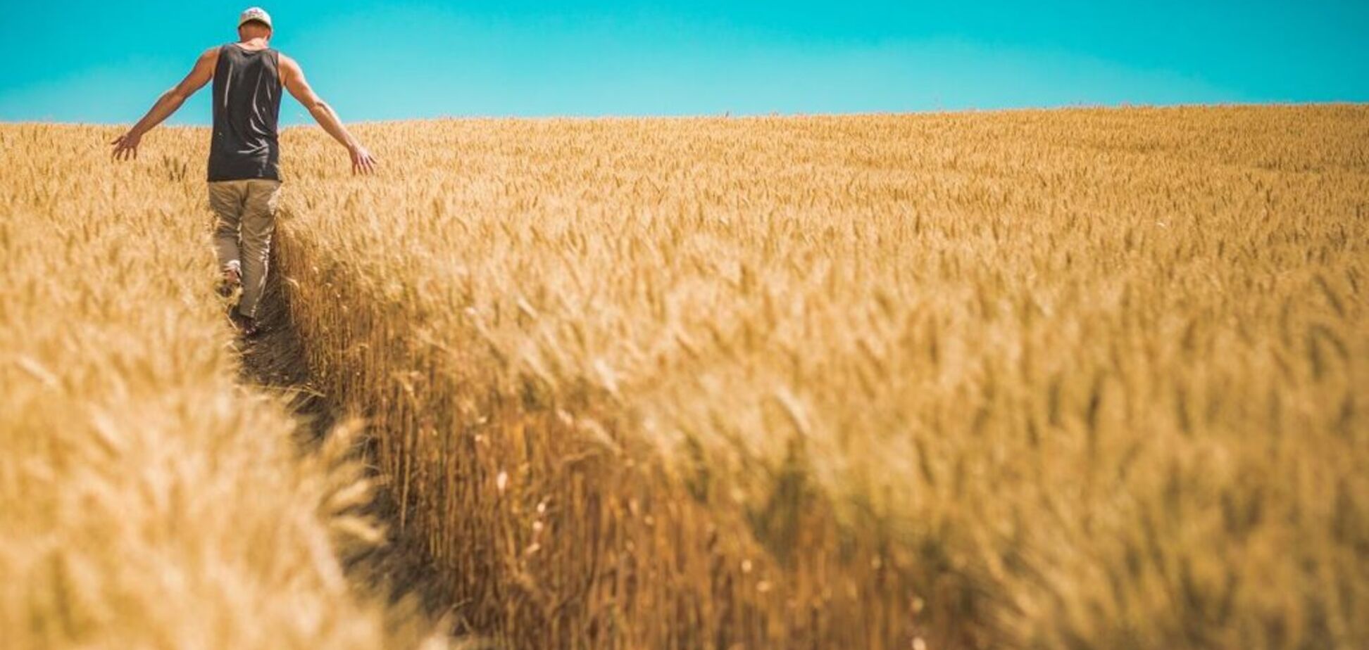 Земельний ультиматум: звільнення від орендарів