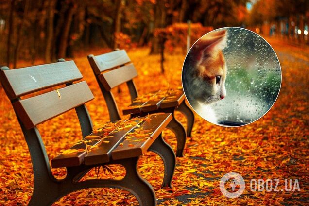 Появился прогноз погоды в Киеве на выходные