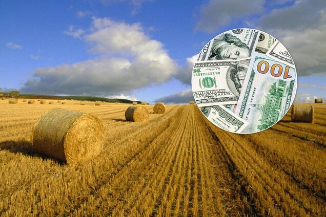 Гончарук сказал, когда в Украине начнут продавать землю