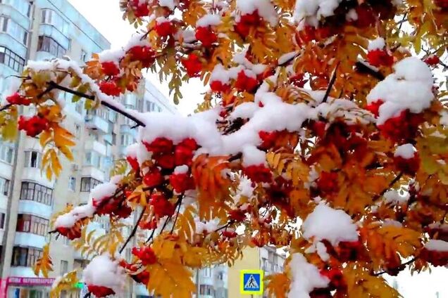 Випаде перший сніг! Синоптики заявили про різку зміну погоди в Україні