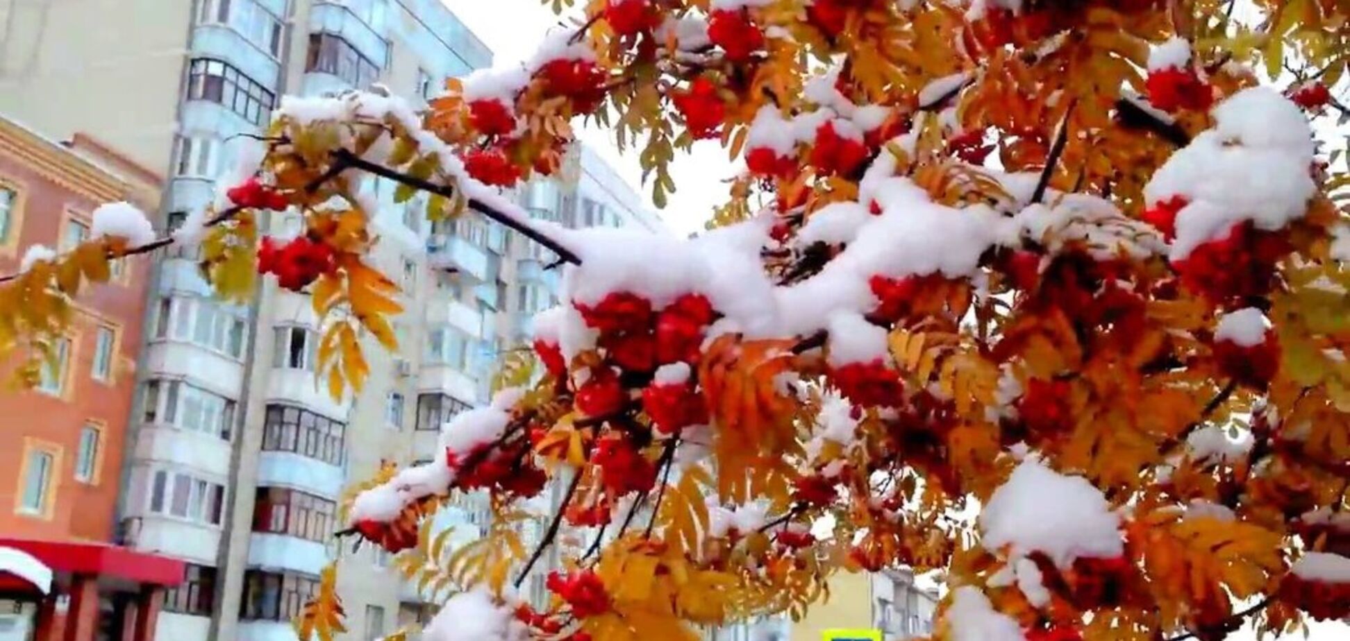 Выпадет первый снег! Синоптики заявили о резком изменении погоды в Украине