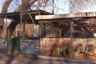 Ужасы жизни в оккупированном Луганске