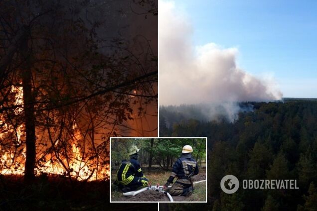 На Дніпропетровщині спалахнула масштабна лісова пожежа: фото і відео НП