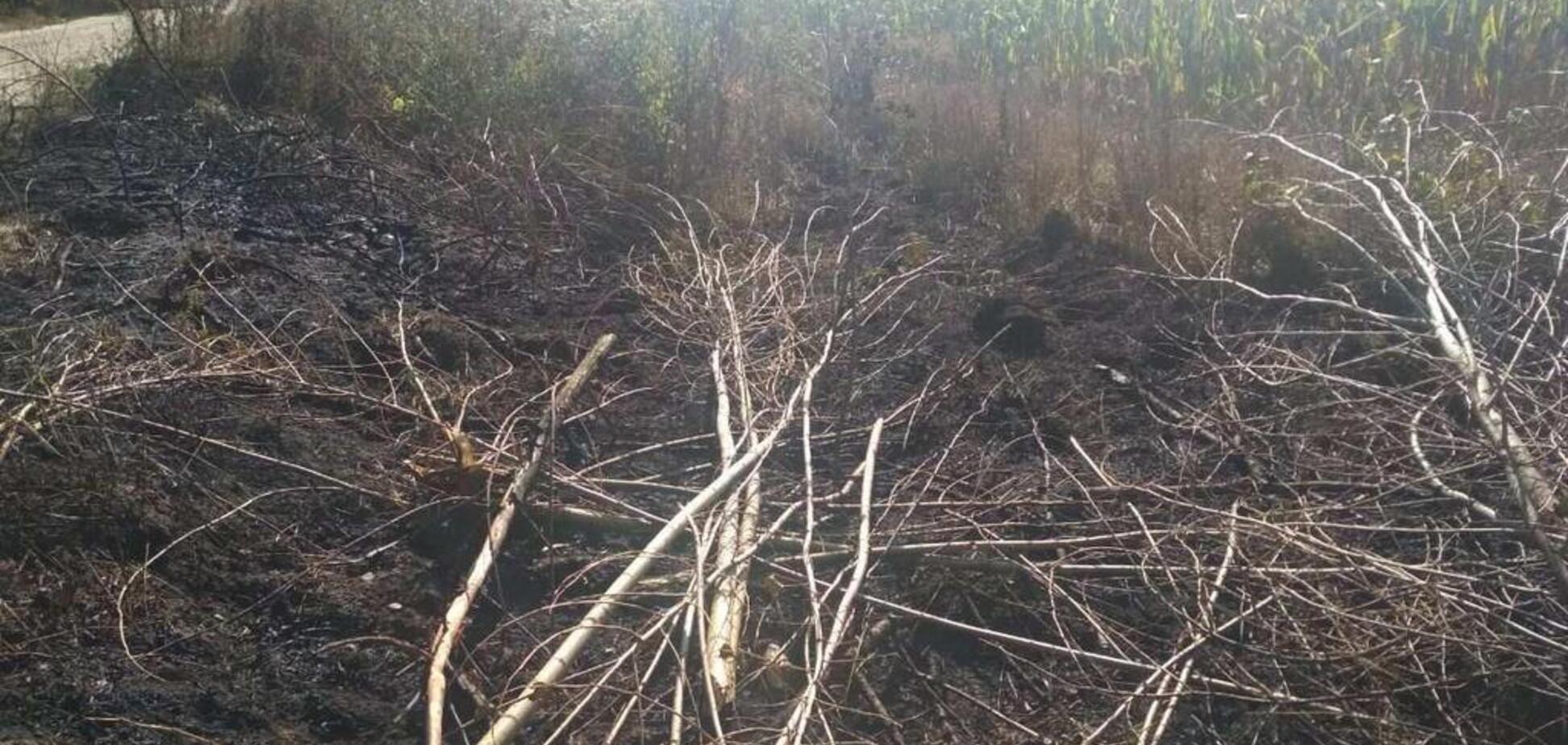 На Київщині через загоряння сухої трави загинули дві особи: всі деталі