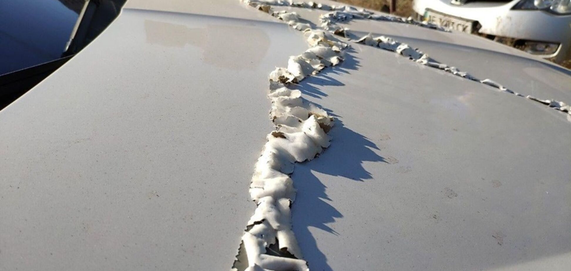 В Днепре массово облили кислотой автомобили: фото