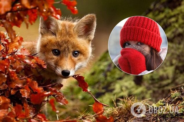 Синоптик дала непредсказуемый прогноз погоды в Украине