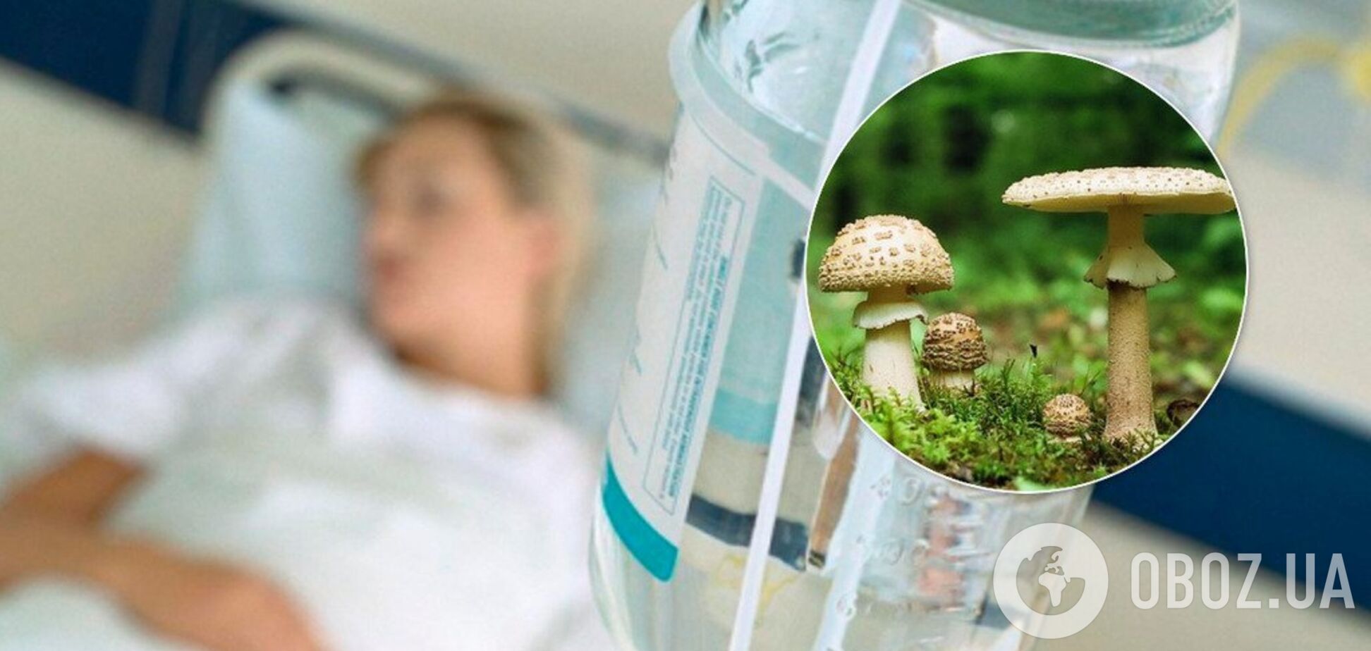 На Буковине случилось массовое отравление грибами