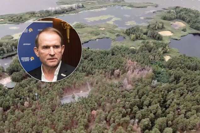 Люди Медведчука 'оккупировали' часть Труханова острова: детали расследования