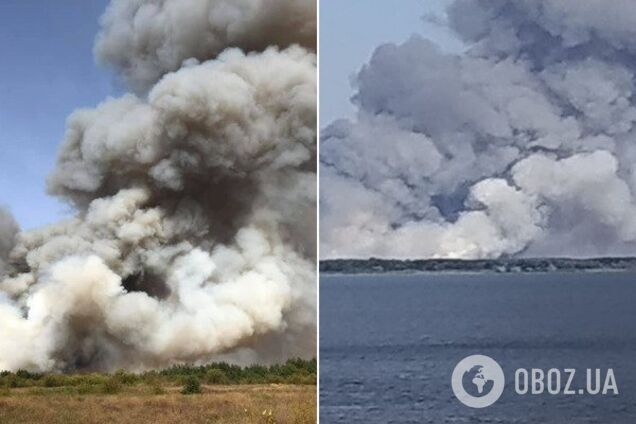 Днепропетровщина в огне: в сети появились жуткие фото масштабного лесного пожара