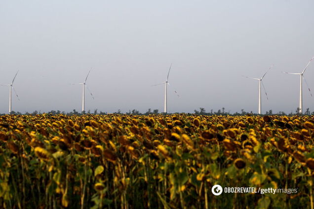 В Украине появился новый крупный игрок на рынке 'зеленой' энергетики