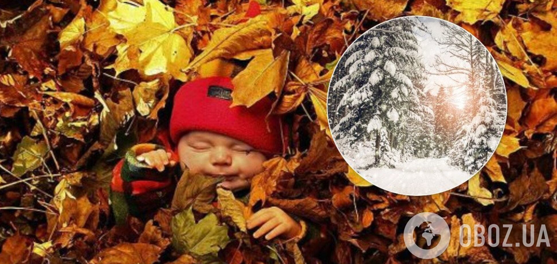 В Україні випаде перший сніг: синоптики уточнили дату