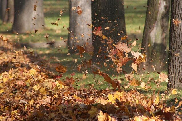 Холод і сильний вітер: синоптикиня уточнила прогноз погоди в Україні