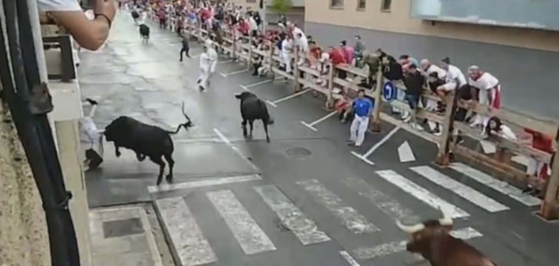 В Испании бык проткнул рогами мужчину