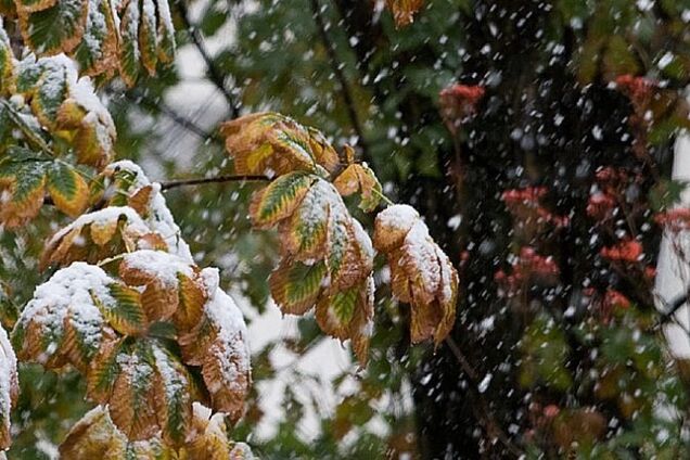 Мороз і сніг: синоптикиня уточнила прогноз погоди в Україні