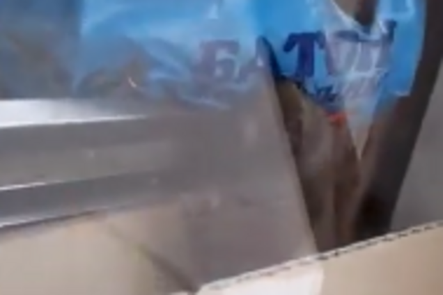 Мышь ела батон: в Харькове магазин попал в громкий скандал