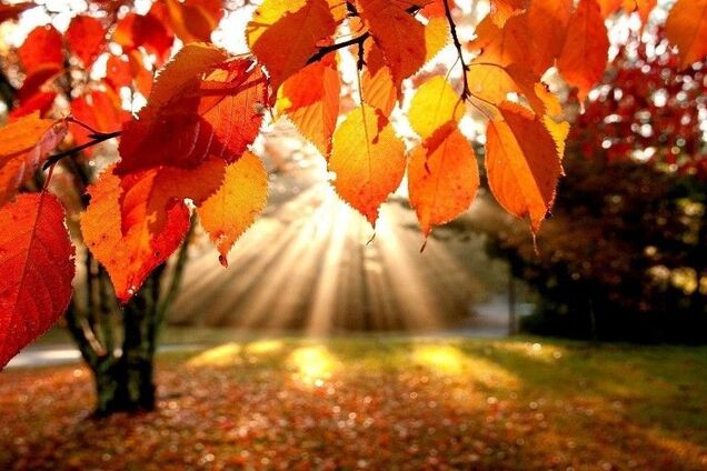 Приметы и праздники 19 сентября: что нельзя делать