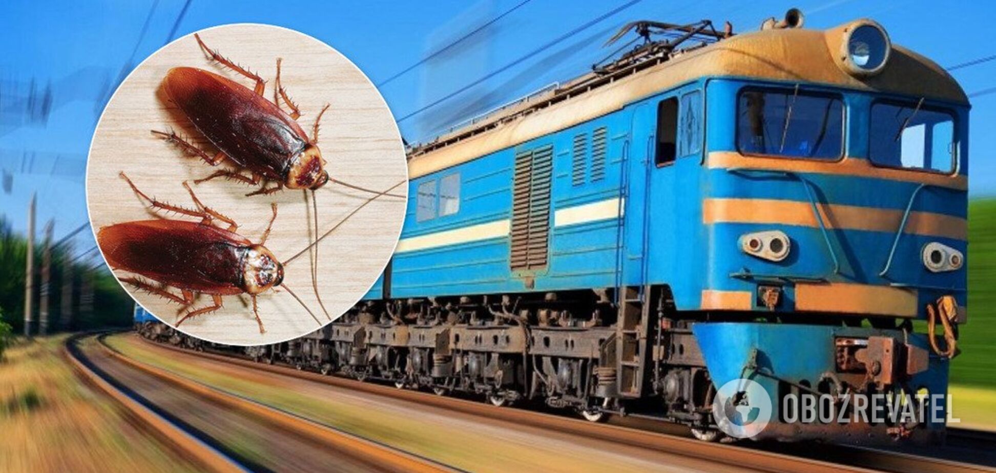 'Укрзалізниця' загремела в новый скандал