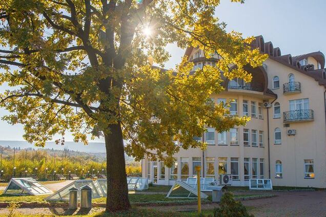 Метод Козявкіна – підхід, який приносить результати