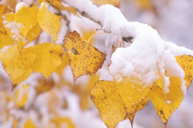 До -3: синоптик предупредила о заморозках и снеге в Украине