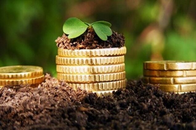 Про 'маячню' з купівлею землі іноземцями