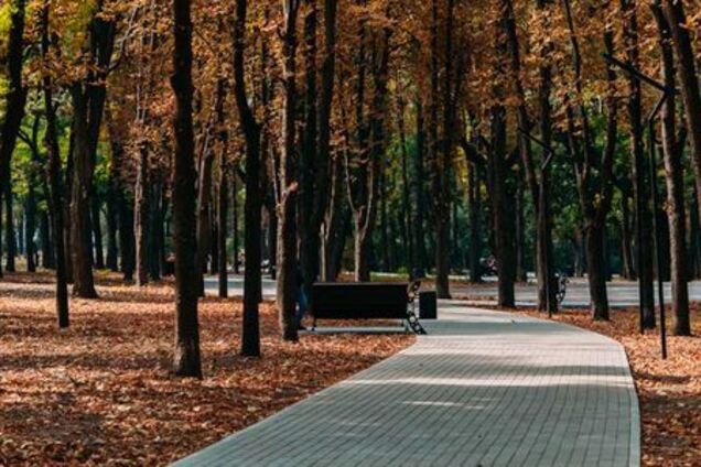 У Дніпрі вандали трощили новий парк Гагаріна: фото