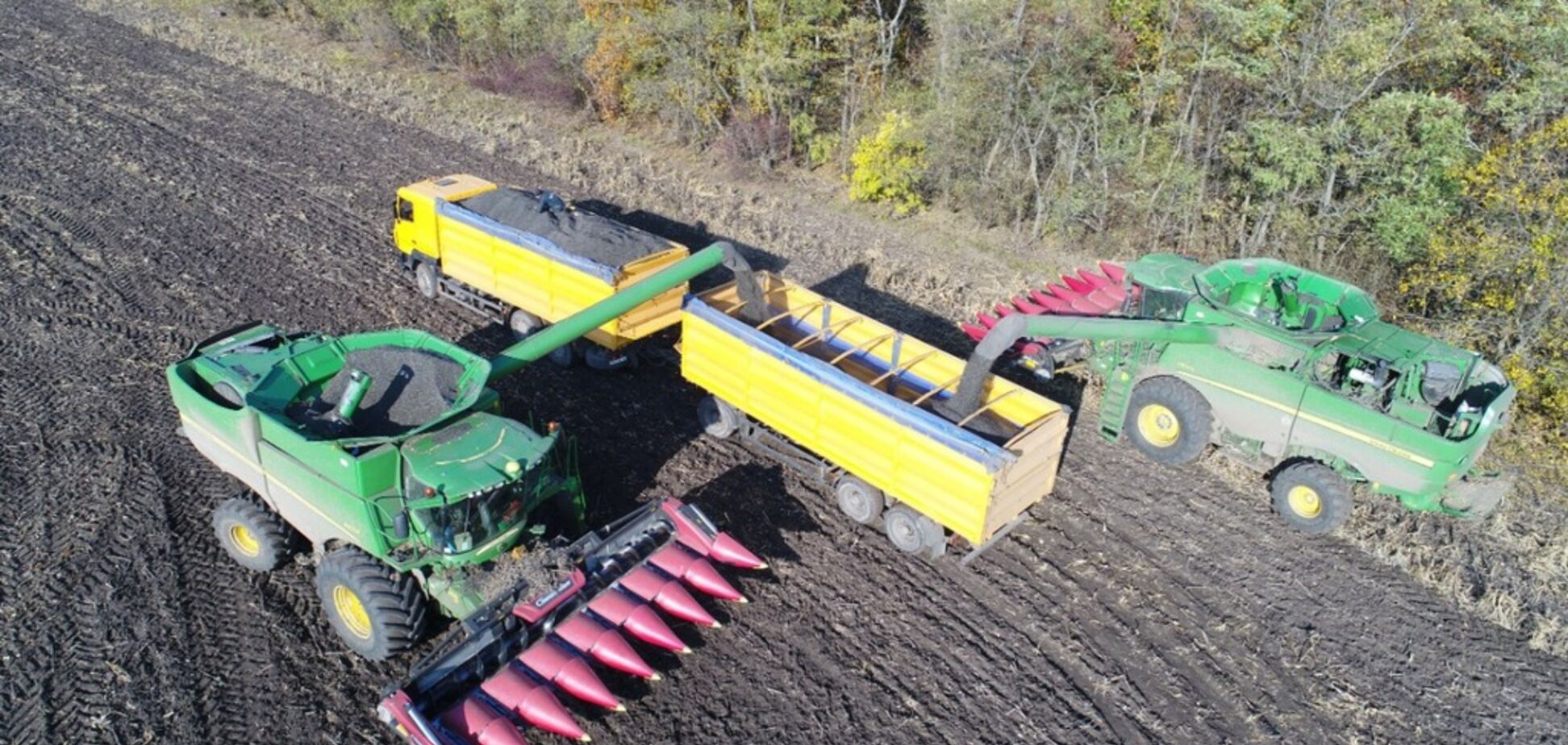 На полях 'Укрлендфарминга' уже собрали 65% подсолнечника и ожидают рекордного урожая