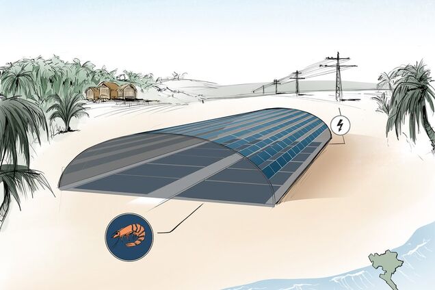 Инженеры научились добывать солнечную энергию с помощью рыб: как это работает