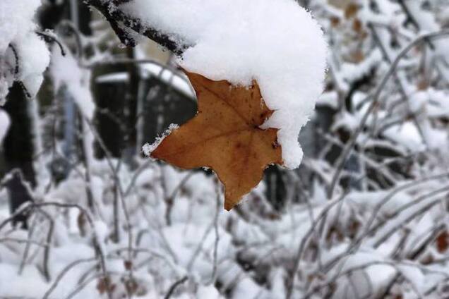 В Україні випав сніг: опубліковано вражаюче фото