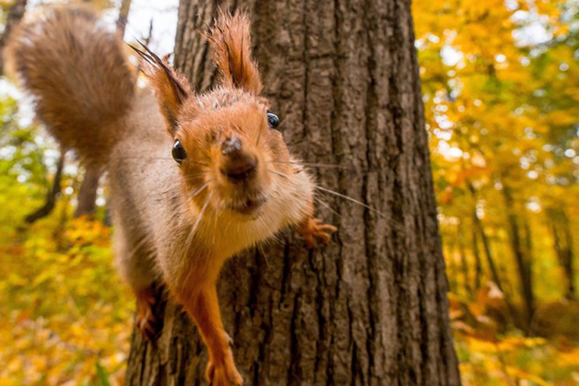До Києва прийде потепління: прогноз погоди на вихідні