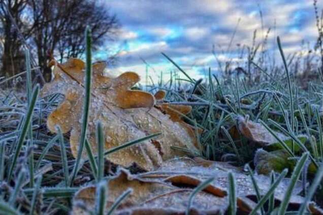 Идут заморозки: синоптики уточнили прогноз погоды в Украине