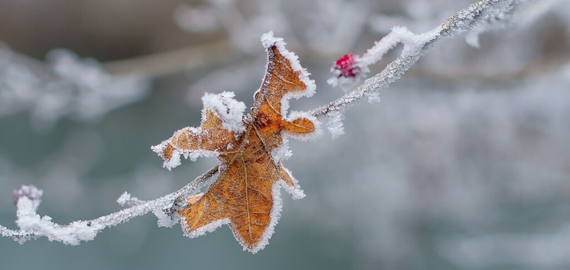 У Дніпро йдуть заморозки: з'явився прогноз погоди на вихідні