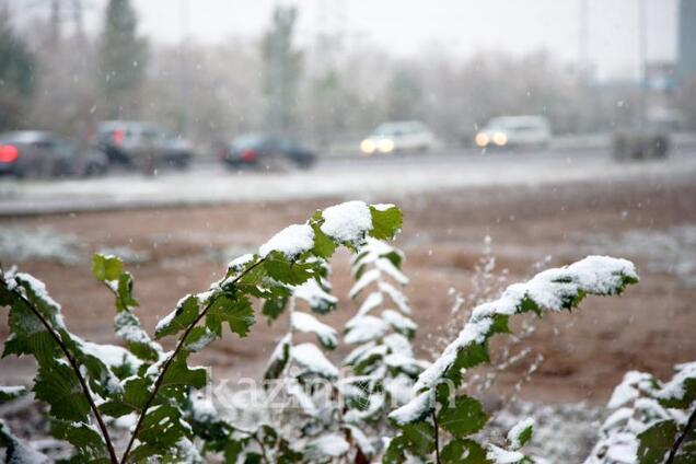 В Україні випав вересневий сніг (ілюстрація)