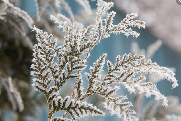 На Украину движется новая волна похолодания