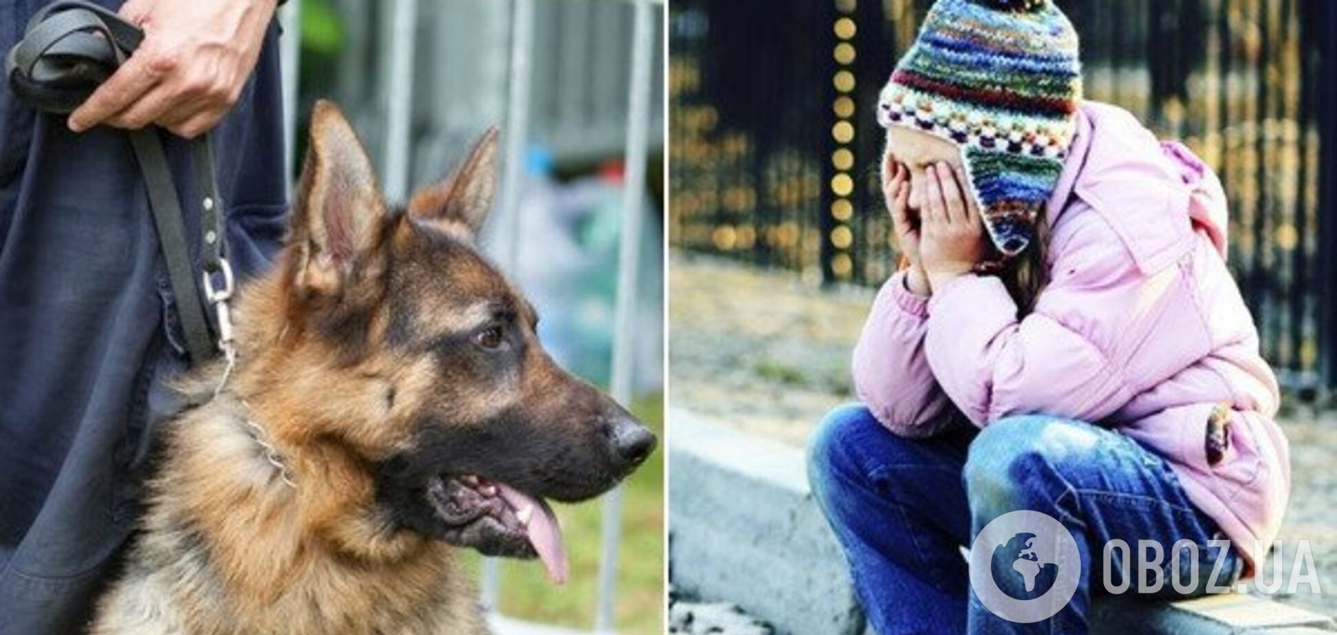 Мати не вгледіла: в Дніпрі дитину розшукували з собаками